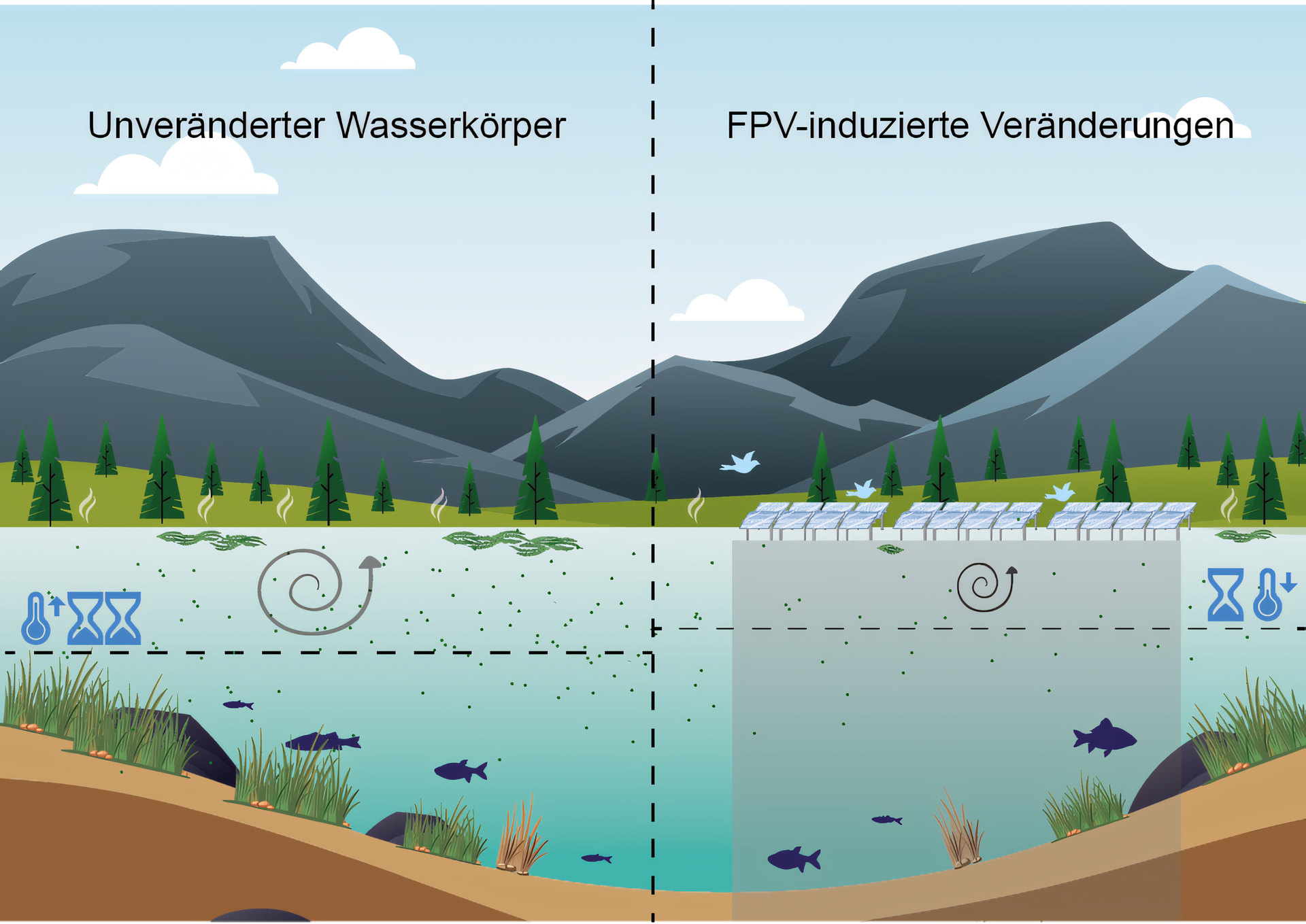 Auswirkungen der Bedeckung eines FPV-Systems auf den Wasserkörper im direkten Vergleich zu einem unbedeckten Wasserkörper.