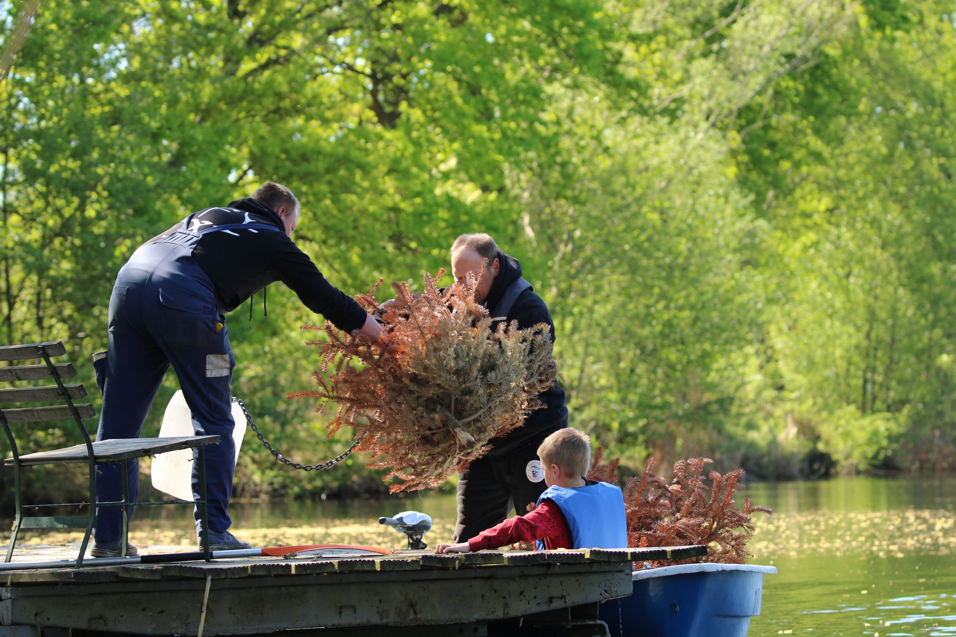 Mit dem Boot werden die Tannenbäume an ihren Platz gebracht, Foto: Daniel Brose, Angelclub Ludwigsfelde e.V.