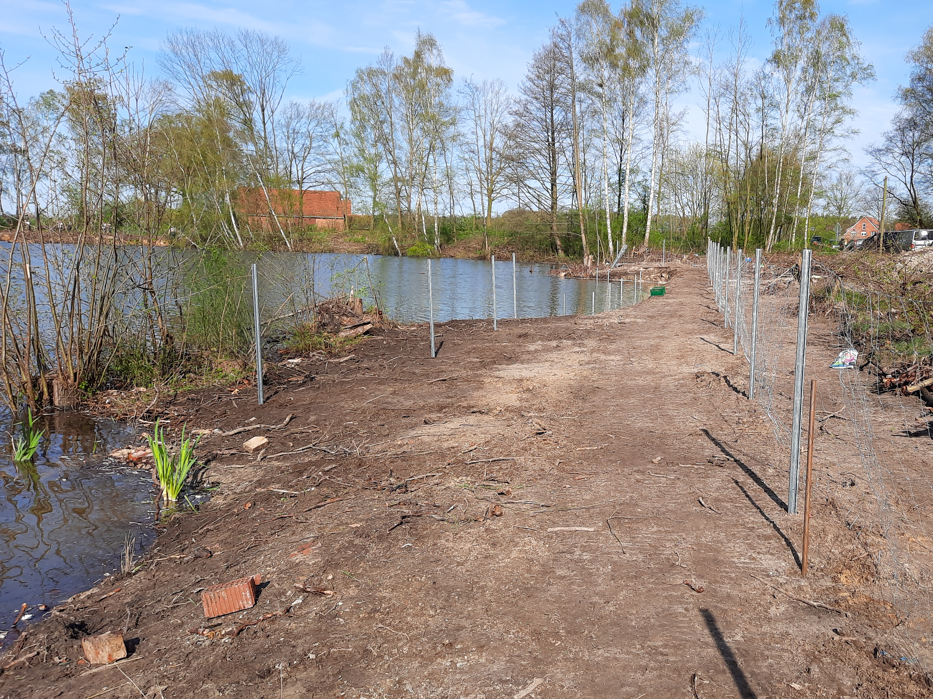 Die umgestalteten Uferbereiche des Fehlesees – sichtbar strukturreicher und offener, mit neuen Lebensräumen für Fische und Amphibien, Foto: SFV Rheda-Gütersloh e.V.