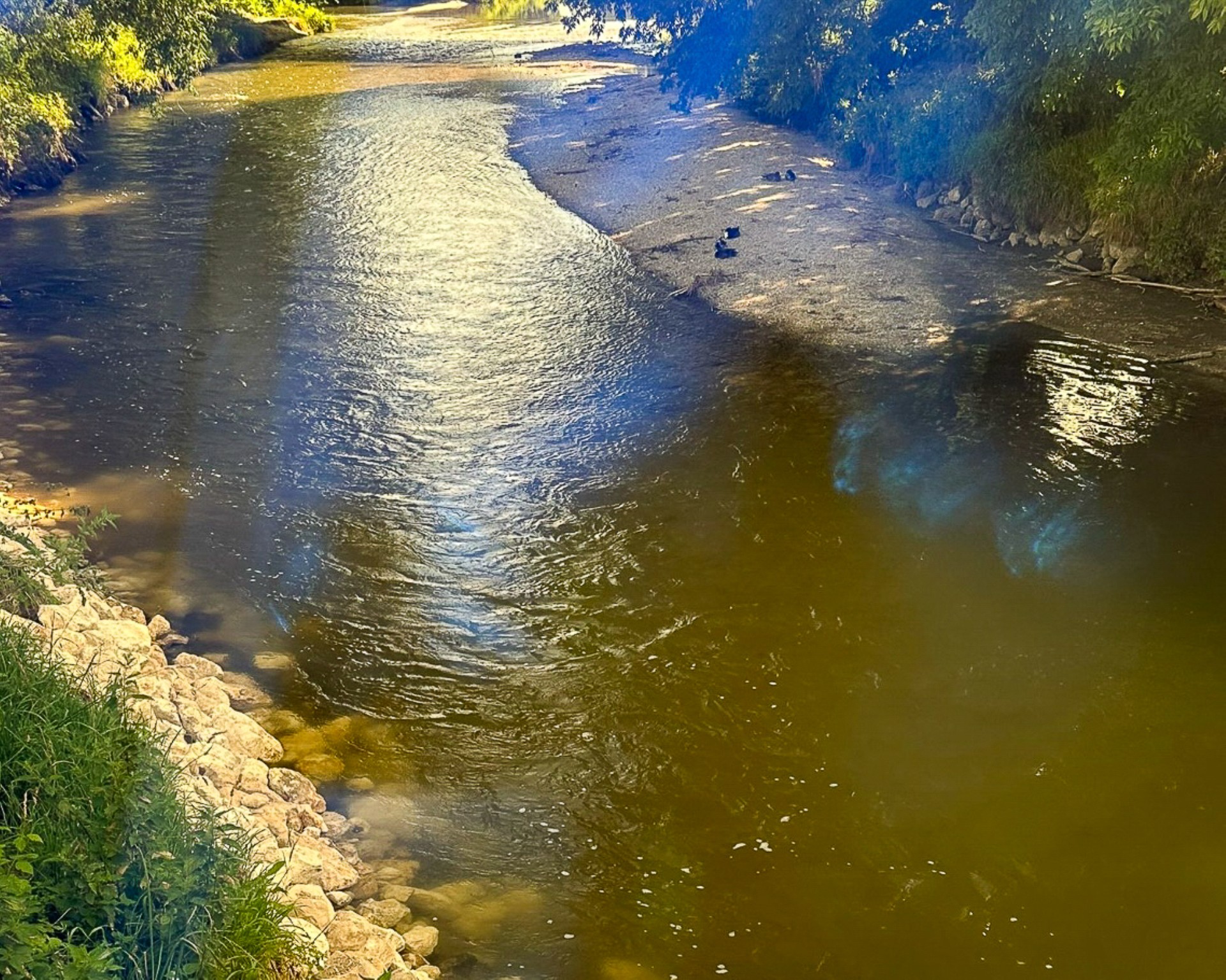 Abschnitt der Ilm mit neu geschaffenen Strukturen für mehr Artenvielfalt, Foto: Fischerring Geisenfeld e.V.