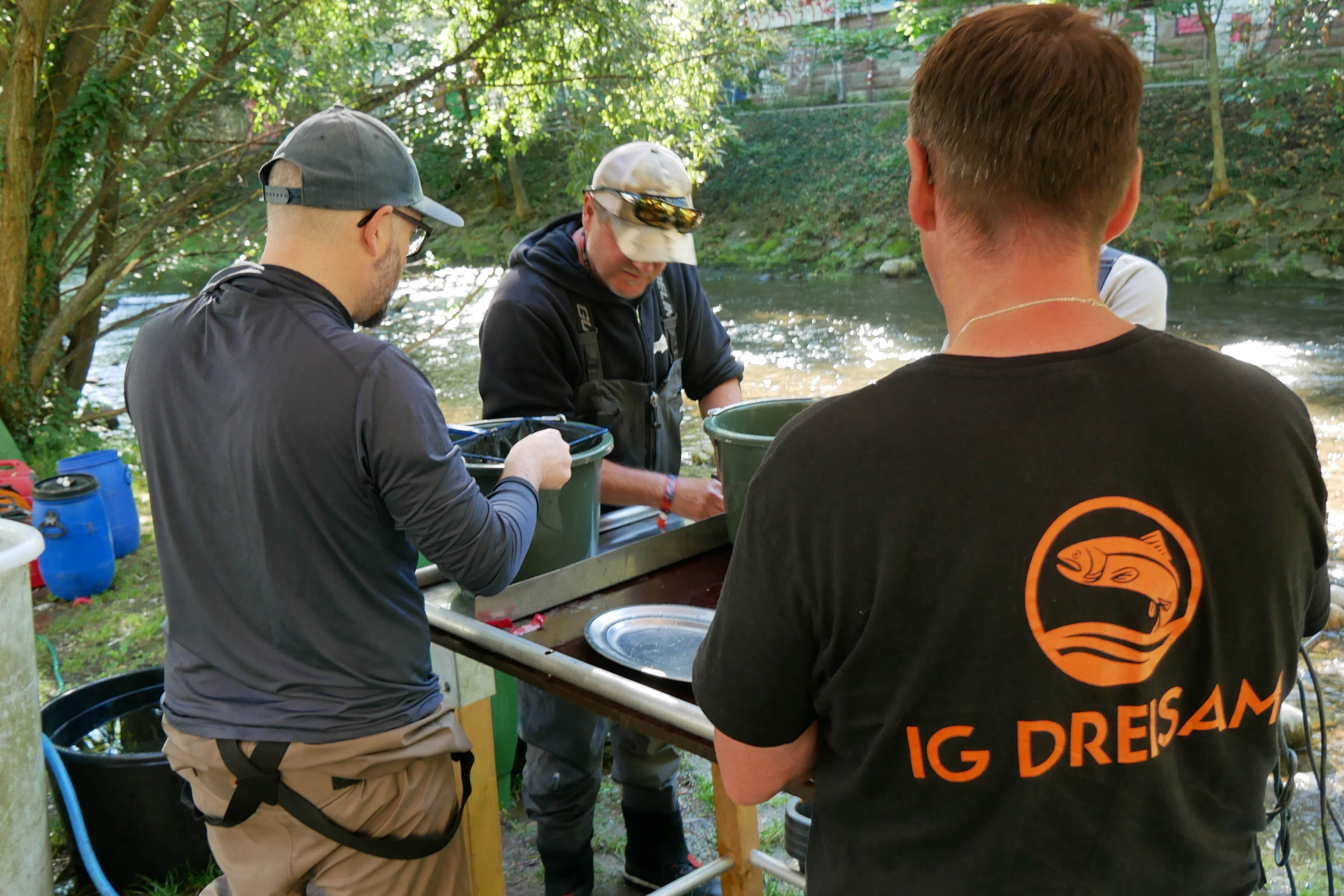 Monitoring als Basis für ein innovatives Renaturierungs  und Schutzkonzept zur Stabilisierung der Fischfauna, Foto: IG Dreisam e.V.