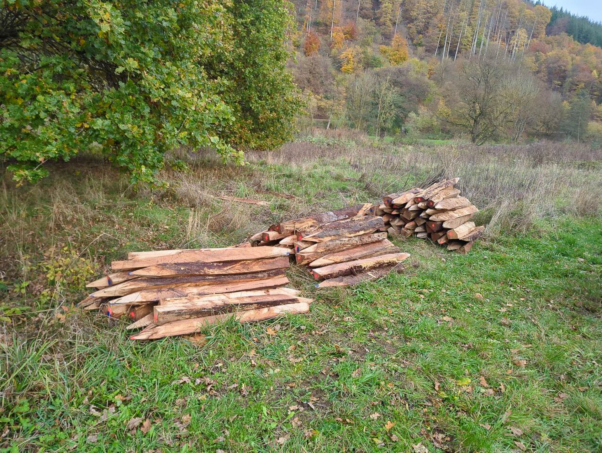 Baumaterialien für Strömungslenker und Unterstände, Foto: planar e.V., Jens Eligehausen