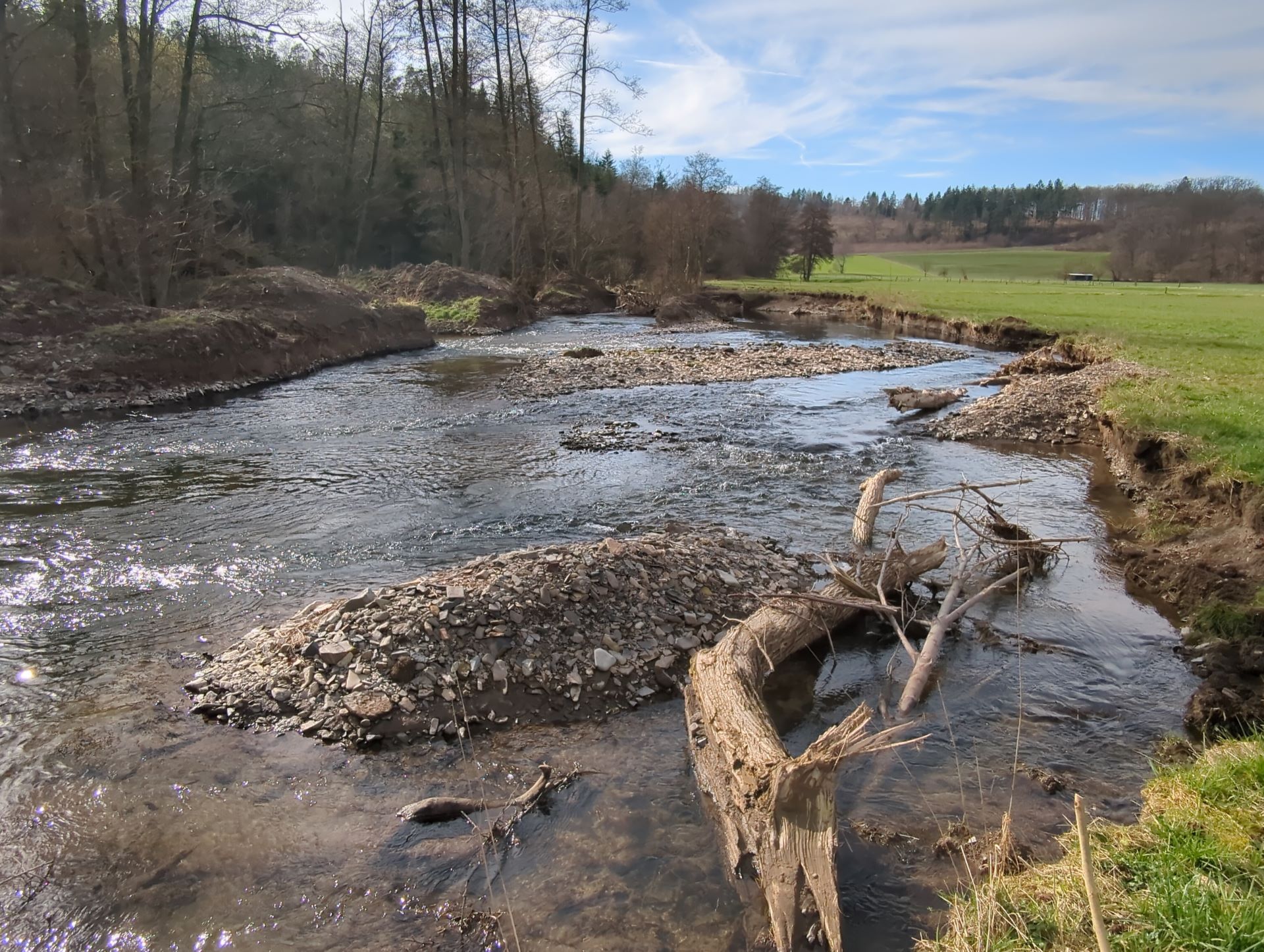 Naturnahe Lebensräume sind widerstandsfähiger gegenüber Umweltveränderungen, Foto: Planungsnetzwerk für nachhaltige Regionalentwicklung e.V.