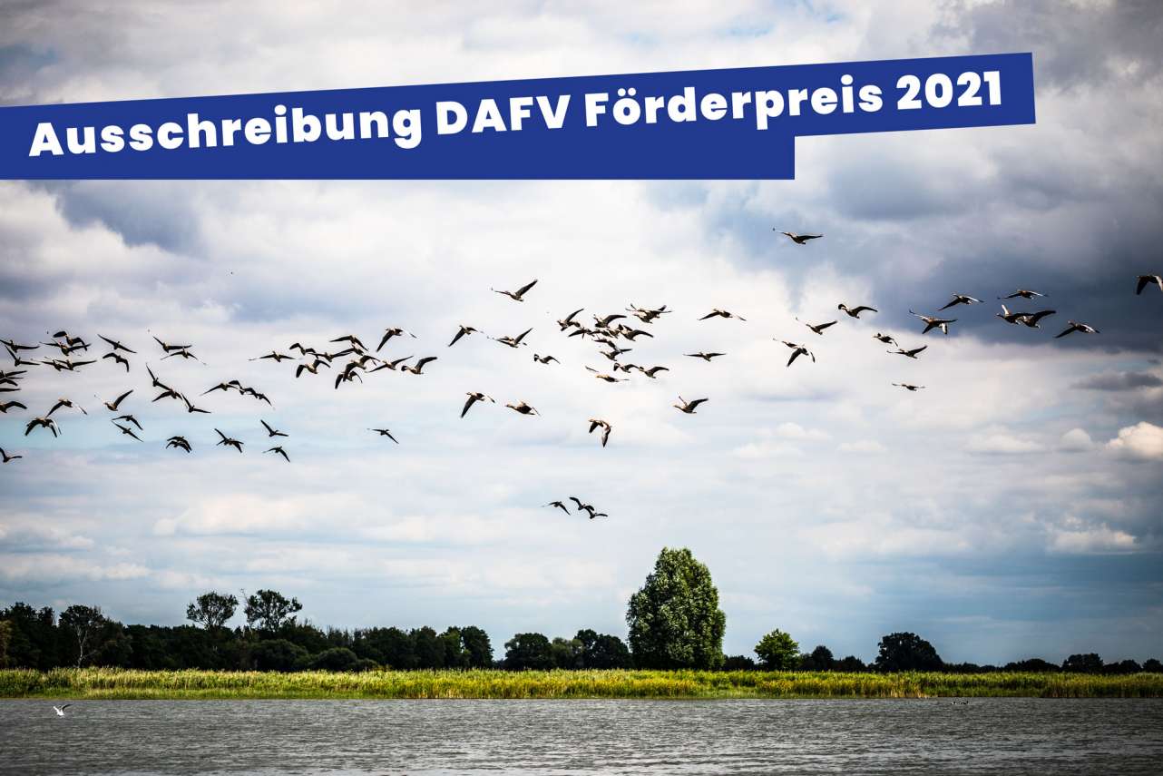 Ausschreibung des Förderpreises des Deutschen Angelfischerverbandes e.V. 2021