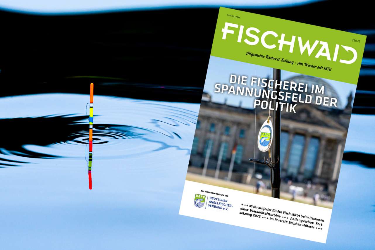 Die „AFZ Fischwaid“ ist die offizielle Verbandszeitschrift des Deutschen Angelfischerverbandes e.V.. Sie berichtet über neue Techniken, verbandsinterne Informationen, beantwortet rechtliche Fragestellungen und vieles mehr.