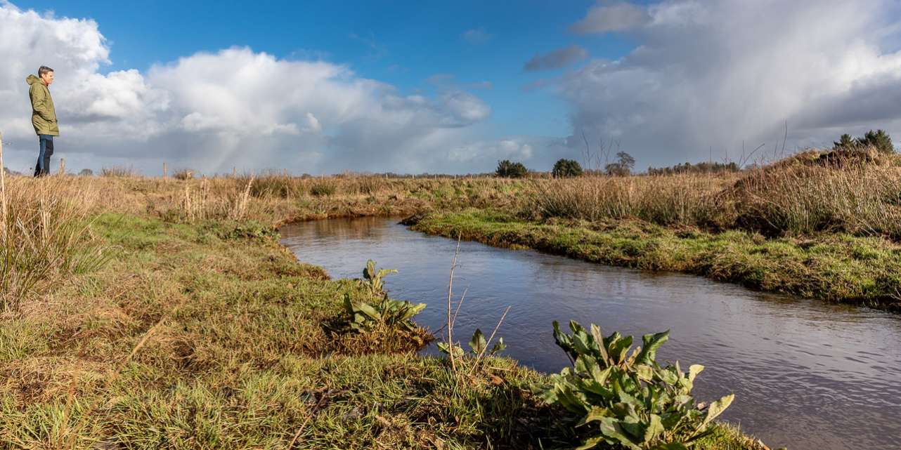 EU-Biodiversitätsstrategie 2030 verlangt Wiederherstellung der Flüsse