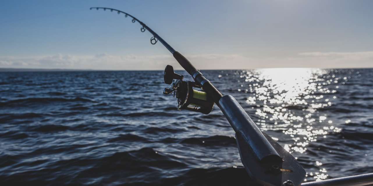 Fangmöglichkeiten auf Dorsch und Lachs werden 2022 in der Ostsee stark eingeschränkt